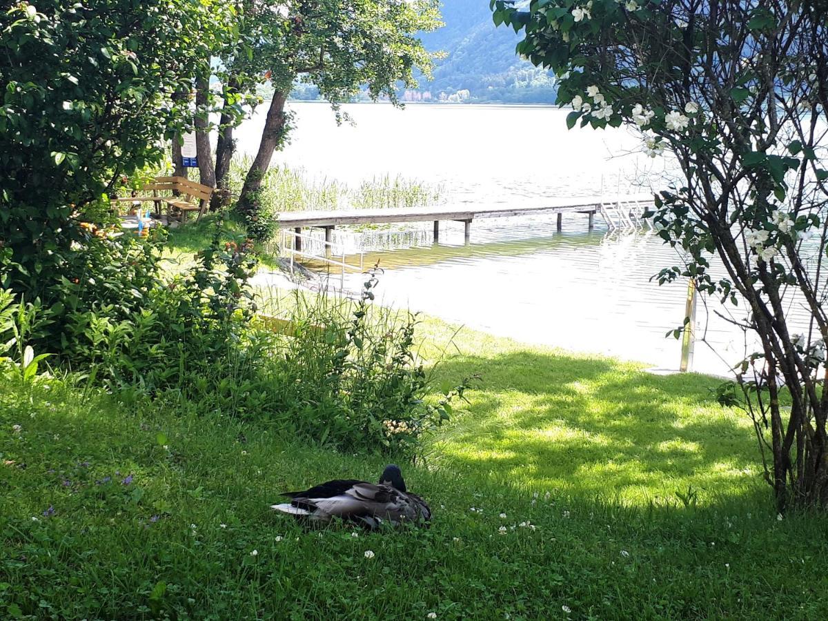 Anna Seeblick Appartement, Haus Haensel&Gretel Am Ossiachersee Mit Direktem Seezugang, Hallenbad, Skiarena Gerlitzen Bodensdorf Kültér fotó